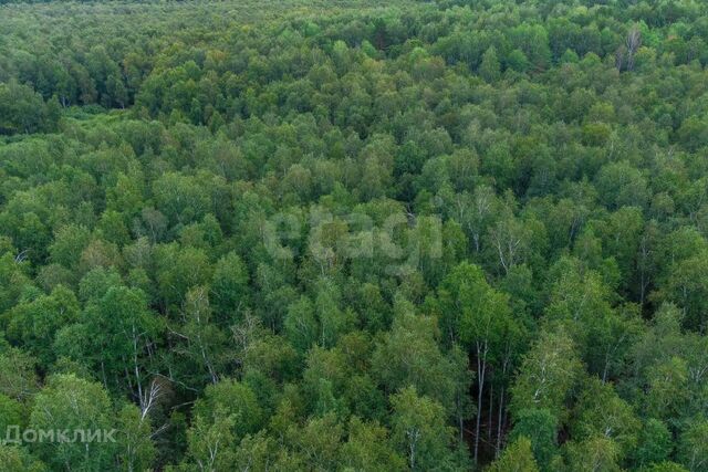 снт Светлячок городской округ Тюмень, 2-я улица фото