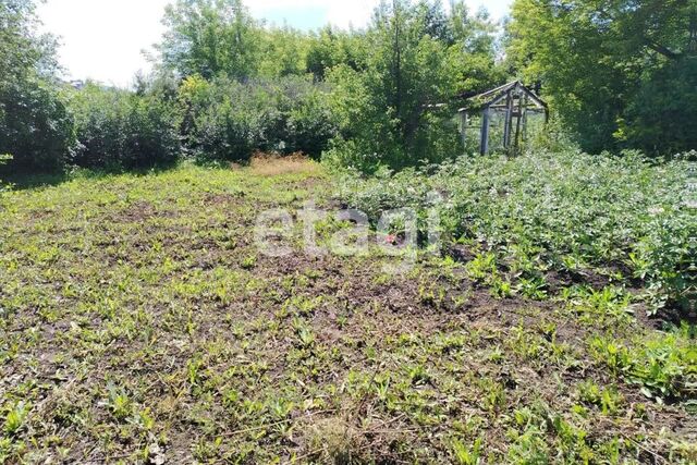 городской округ Красноярск, Садовое товарищество сад №1 Черёмушки фото