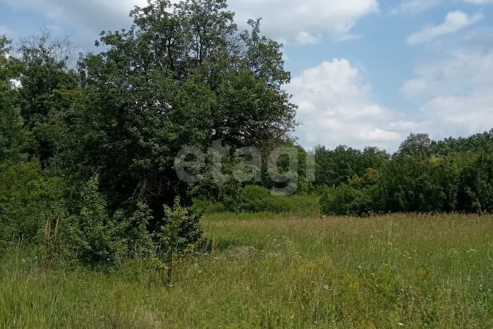 земля г Воронеж р-н Железнодорожный городской округ Воронеж, СНТ Дубрава фото 2