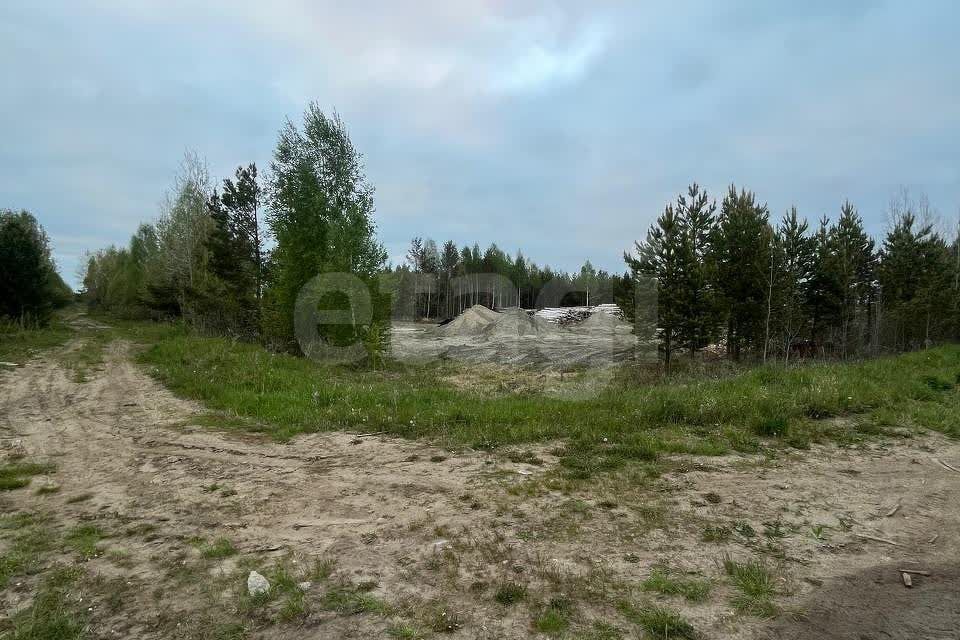 земля р-н Нижнетавдинский деревня Красный Яр фото 2