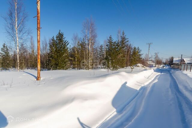 ПСОК Брусничка фото