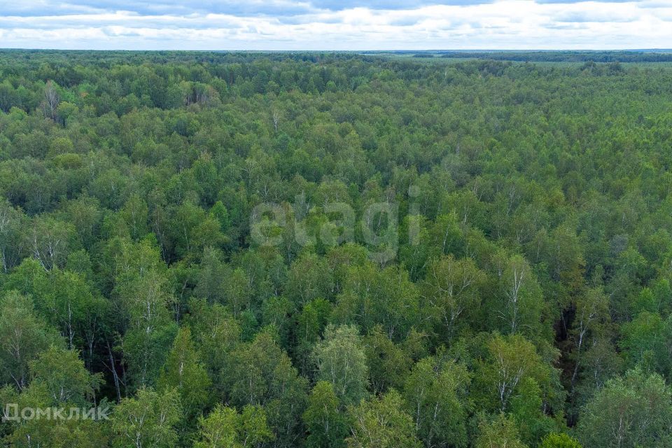 земля г Тюмень снт Светлячок городской округ Тюмень, 2-я улица фото 9