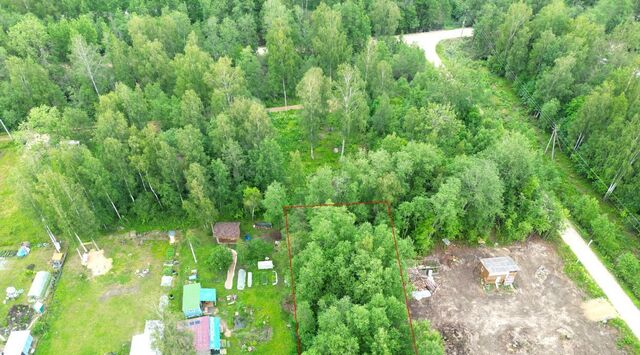 Мгинское городское поселение, Славянка садовое товарищество, Коммунальщик СНТ, 2-я линия фото