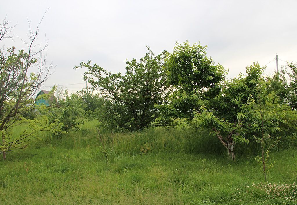 дом городской округ Раменский д Белозериха 34 км, Раменское, Рязанское шоссе фото 20