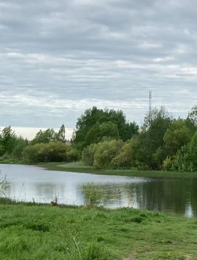 офис городской округ Сергиево-Посадский 1А, Отдых СНТ фото 1