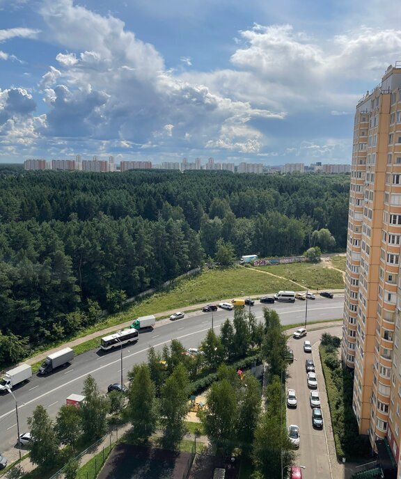 квартира городской округ Ленинский рп Дрожжино ул Южная 19 Бутово парк 2 Бутово фото 19