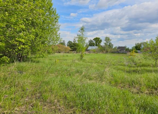 земля городской округ Луховицы село Подлесная Слобода фото 2