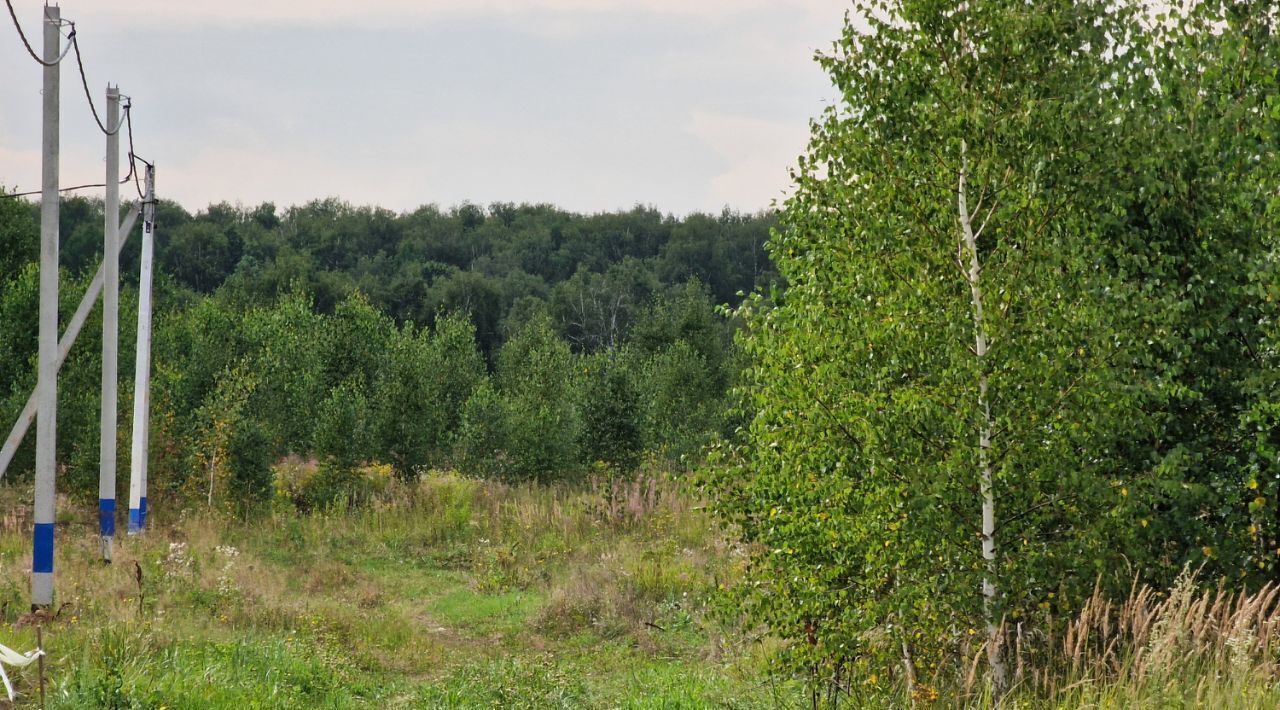 земля городской округ Раменский Долина Озер-2 кп, 515 фото 7