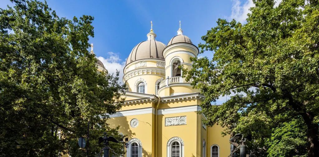 квартира г Санкт-Петербург метро Чернышевская ул Рылеева 5 округ Литейный фото 41