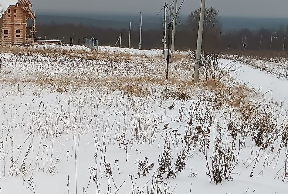 земля городской округ Дмитровский деревня Ольявидово фото 4