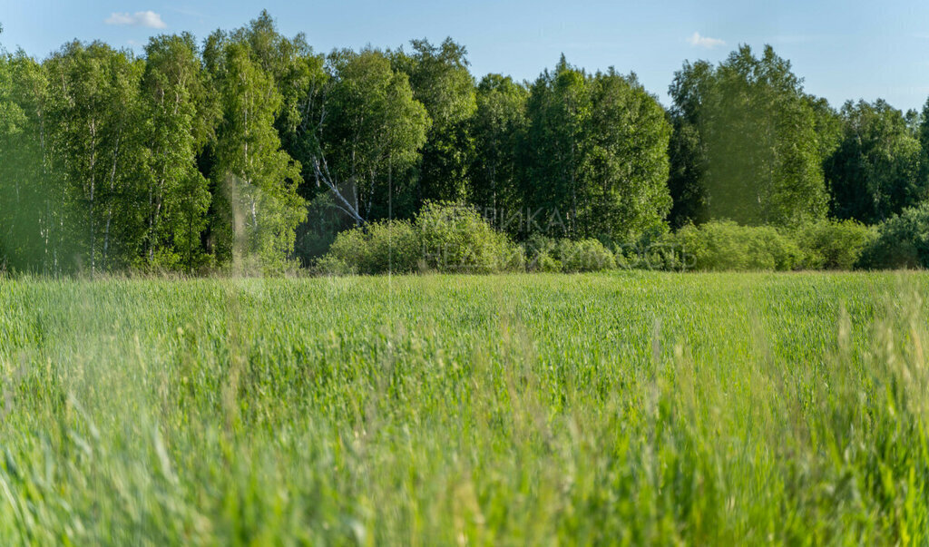 земля р-н Слободо-Туринский с Усть-Ницинское фото 1