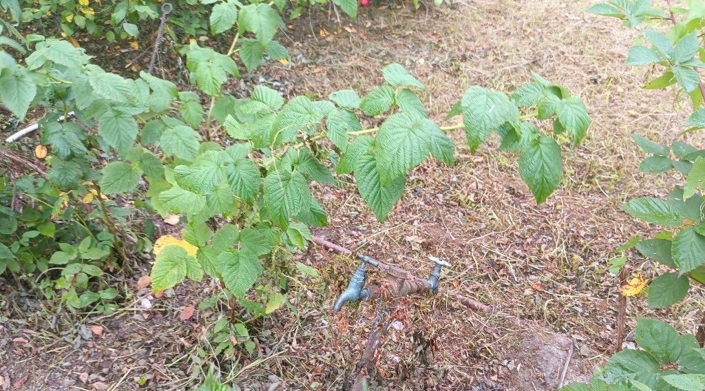 дом г Калуга р-н Октябрьский снт Коммунальник ул Центральная садовое дачное товарищество фото 14