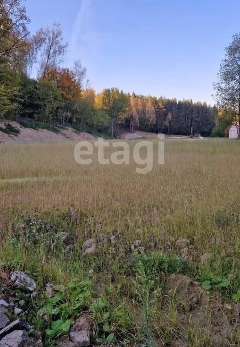 земля городской округ Ленинский д Мисайлово Домодедовская фото 5