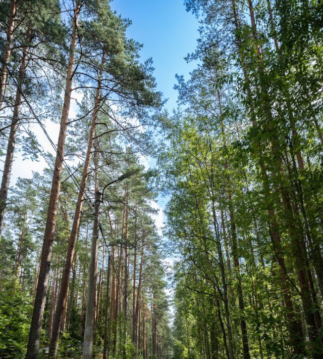 дом г Санкт-Петербург п Комарово ул Осипенко р-н Курортный фото 10