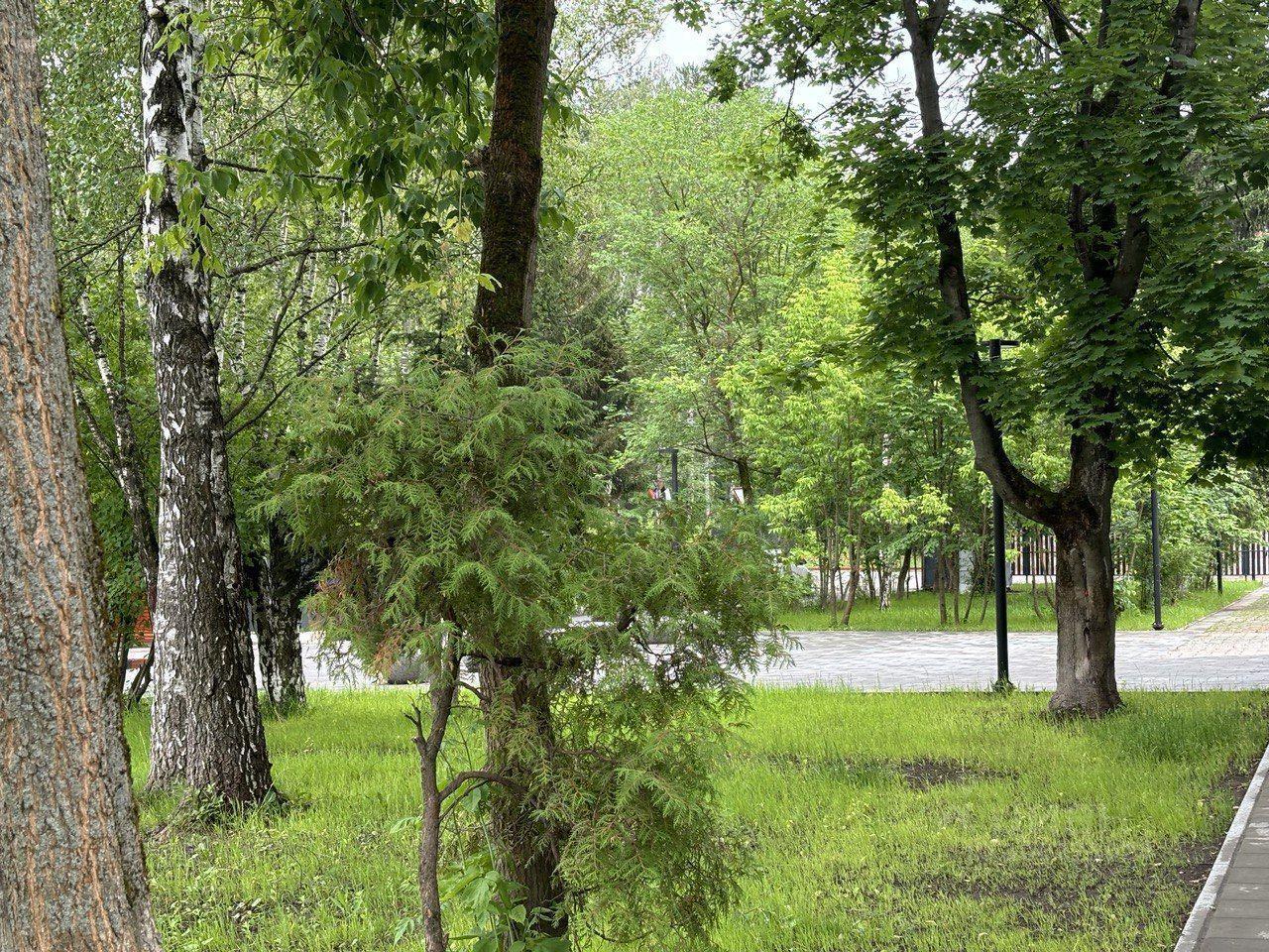 квартира городской округ Раменский рп Ильинский ул Пролетарская 49/1а Быково фото 14