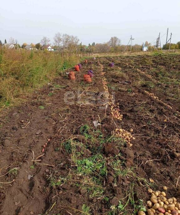 дом р-н Ялуторовский с Бердюгино ул Сирина фото 11