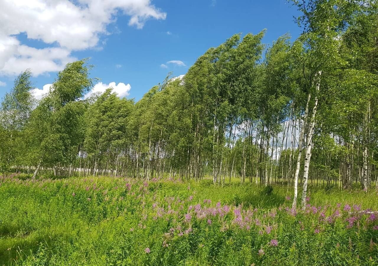 земля городской округ Дмитровский д Настасьино 50 км, Дмитров, Дмитровское шоссе фото 13