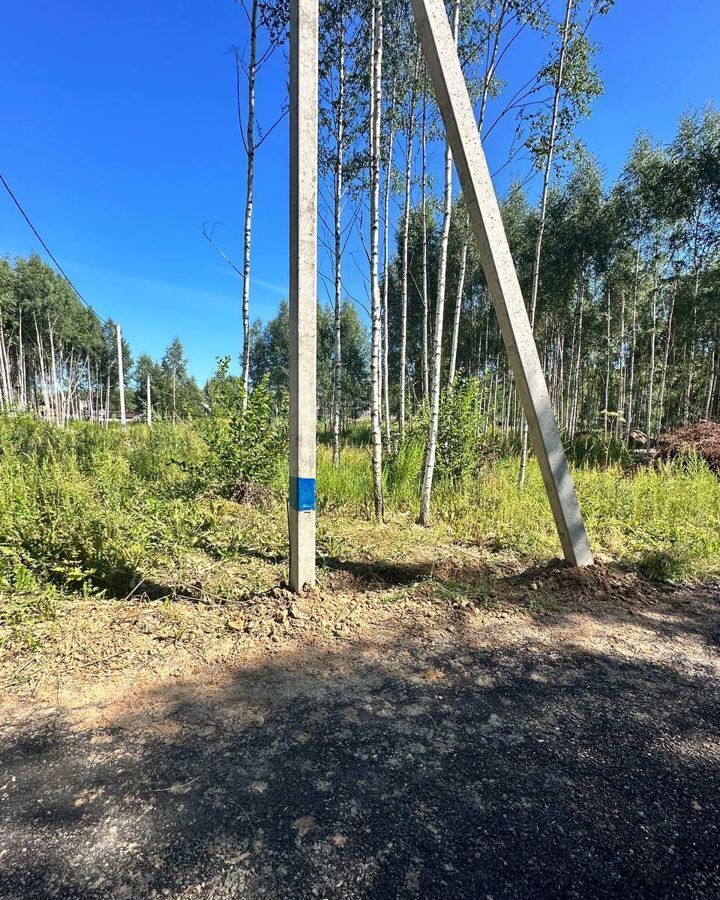 земля городской округ Дмитровский д Настасьино 50 км, Дмитров, Дмитровское шоссе фото 17