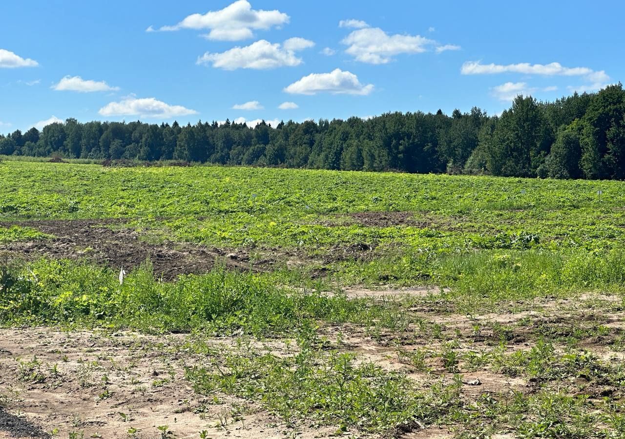 земля городской округ Клин д Опалево 68 км, Клин, Рогачёвское шоссе фото 28