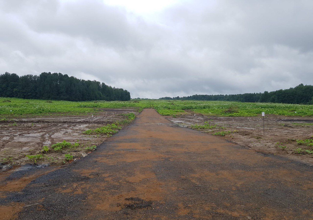 земля городской округ Клин д Опалево 68 км, Клин, Рогачёвское шоссе фото 37