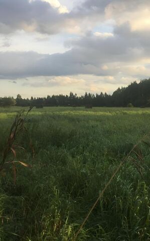 д. Звягино Казаковский сельсовет, ул. Полевая фото