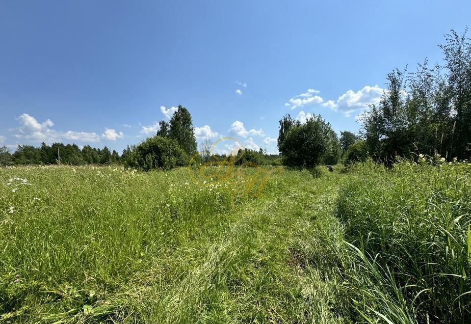 земля городской округ Клин 71 км, садовое некоммерческое товарищество Берёзка, Клин, Рогачёвское шоссе фото 4