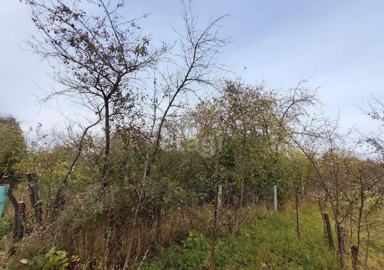 земля г Коломна снт Вишенка-2 84 км, Новорязанское шоссе фото 5