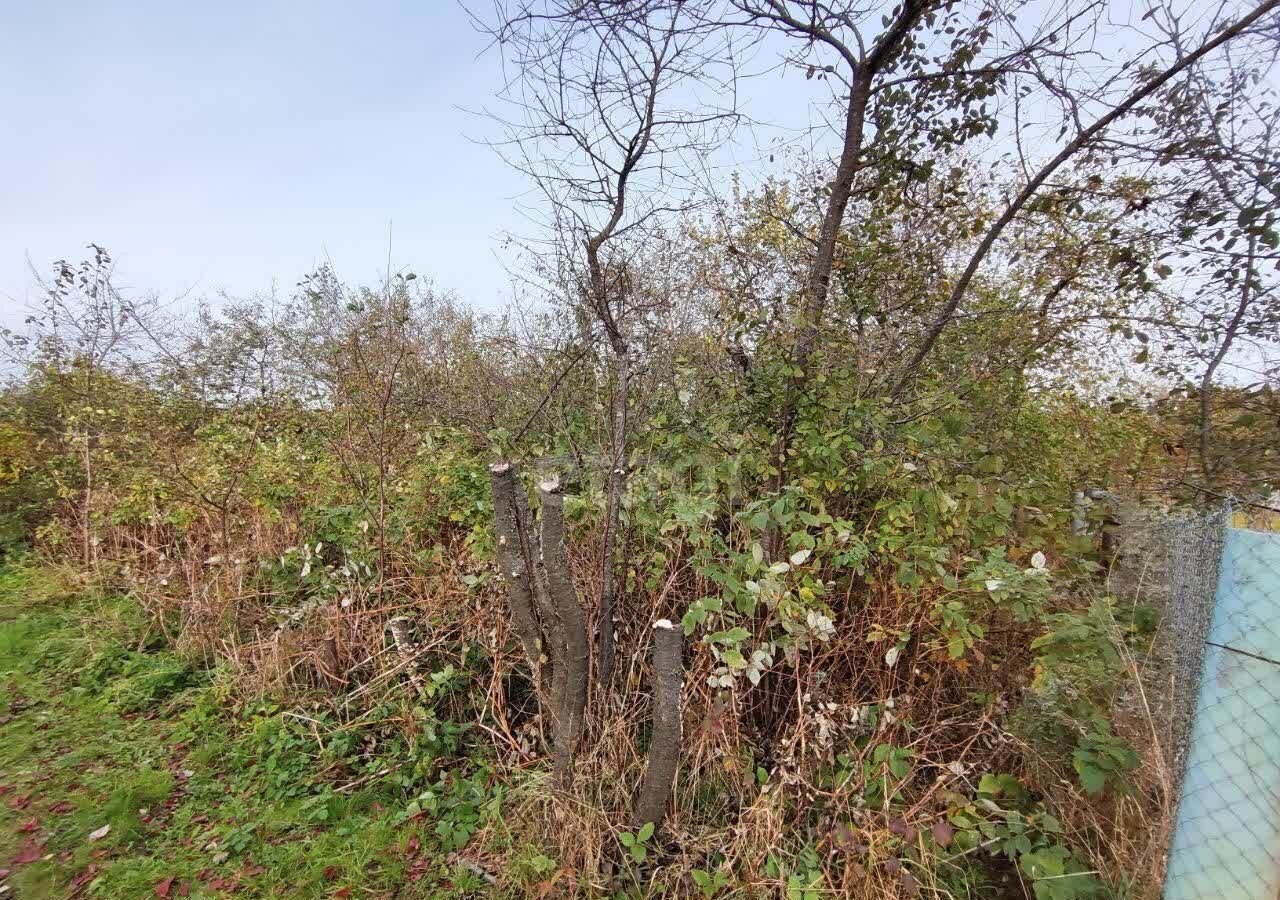 земля г Коломна снт Вишенка-2 84 км, Новорязанское шоссе фото 11