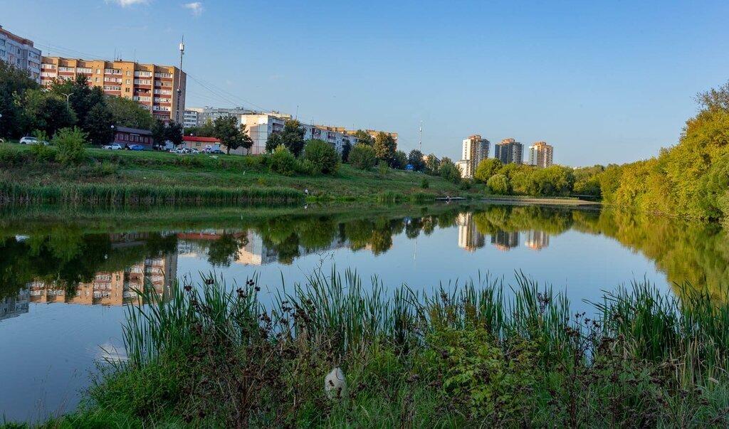 квартира г Москва метро Подольск ул Дружбы 18 Московская область, Чехов фото 27