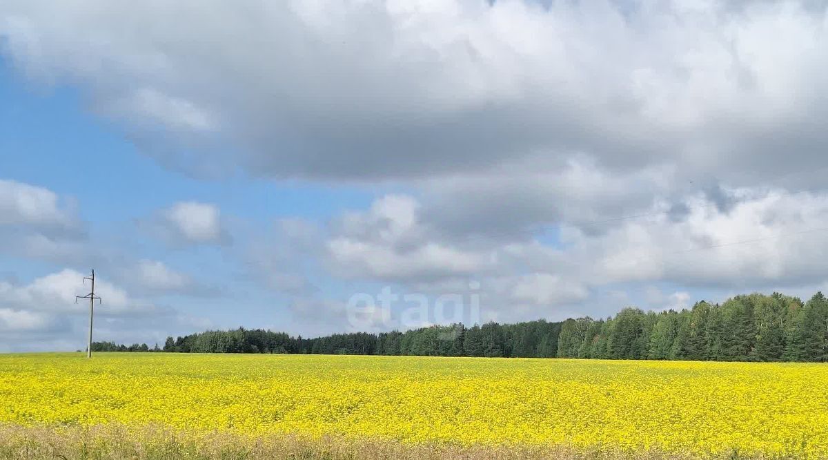 дом р-н Пригородный п Висим ул Ключевская фото 7