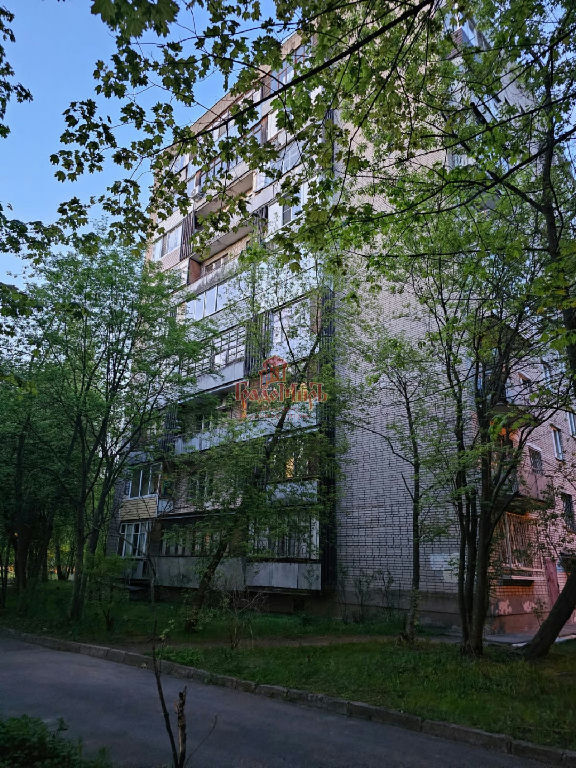 квартира г Королев Комитетский Лес ул., 10 фото 14
