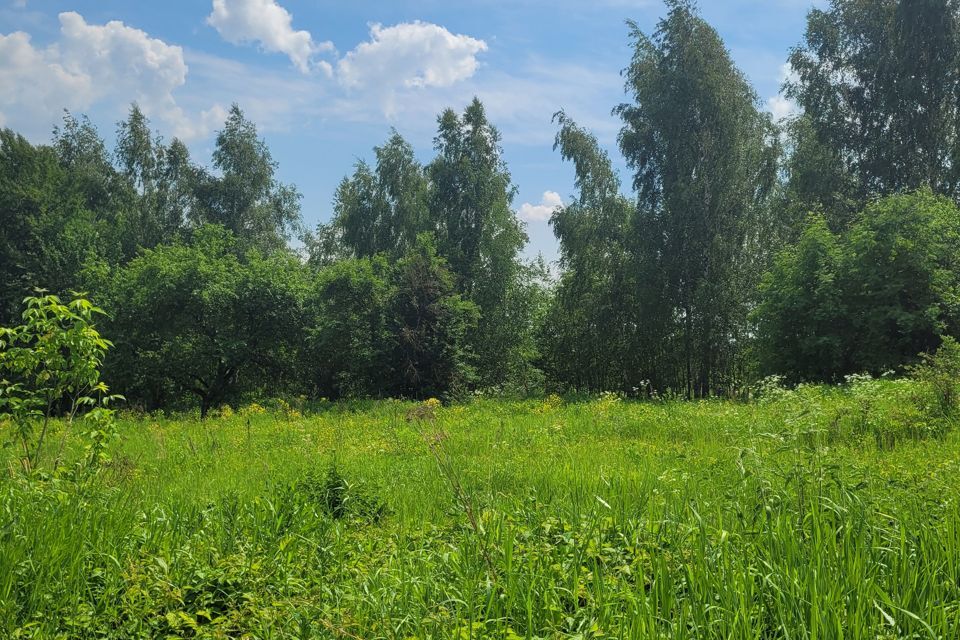 земля городской округ Раменский село Кривцы фото 4