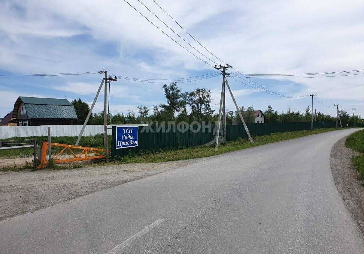 земля р-н Новосибирский снт тер.Сады Приобья Кубовинский сельсовет, Колывань фото 1