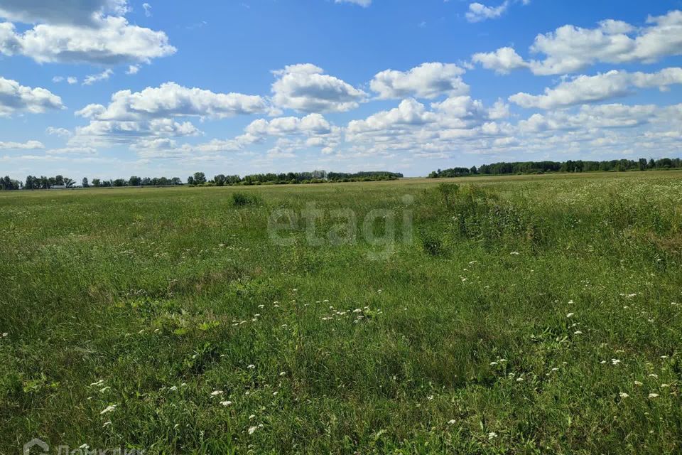 земля р-н Тюменский село Щербак фото 3