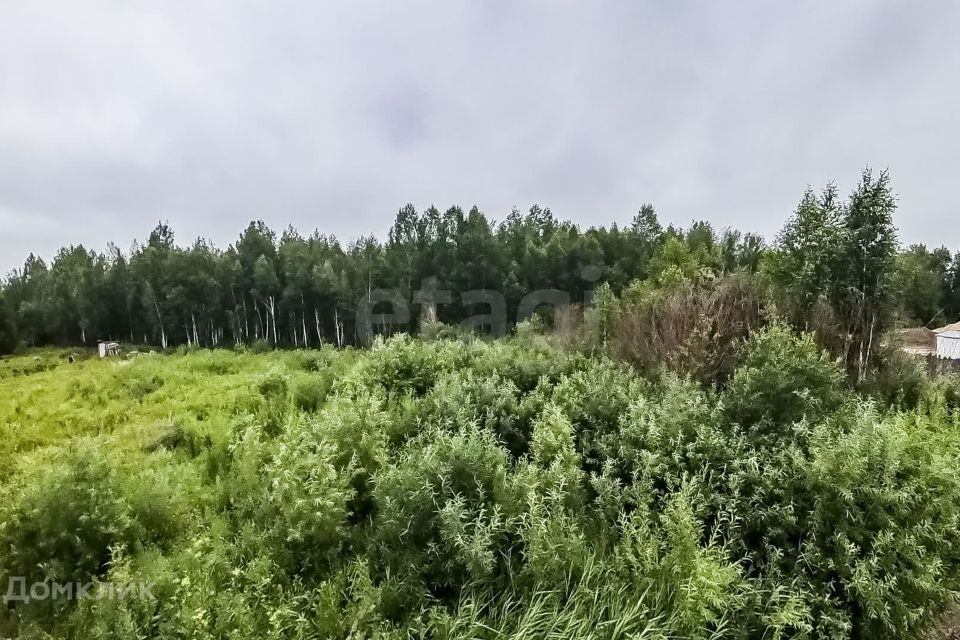 земля р-н Нижнетавдинский с Нижняя Тавда ул Рябиновая фото 3