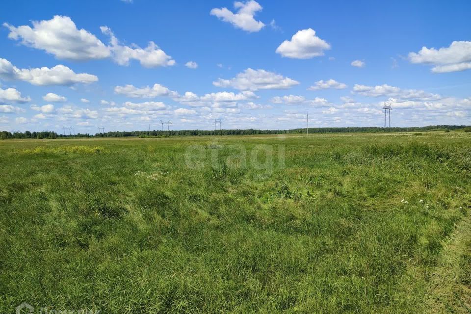 земля р-н Тюменский село Щербак фото 2