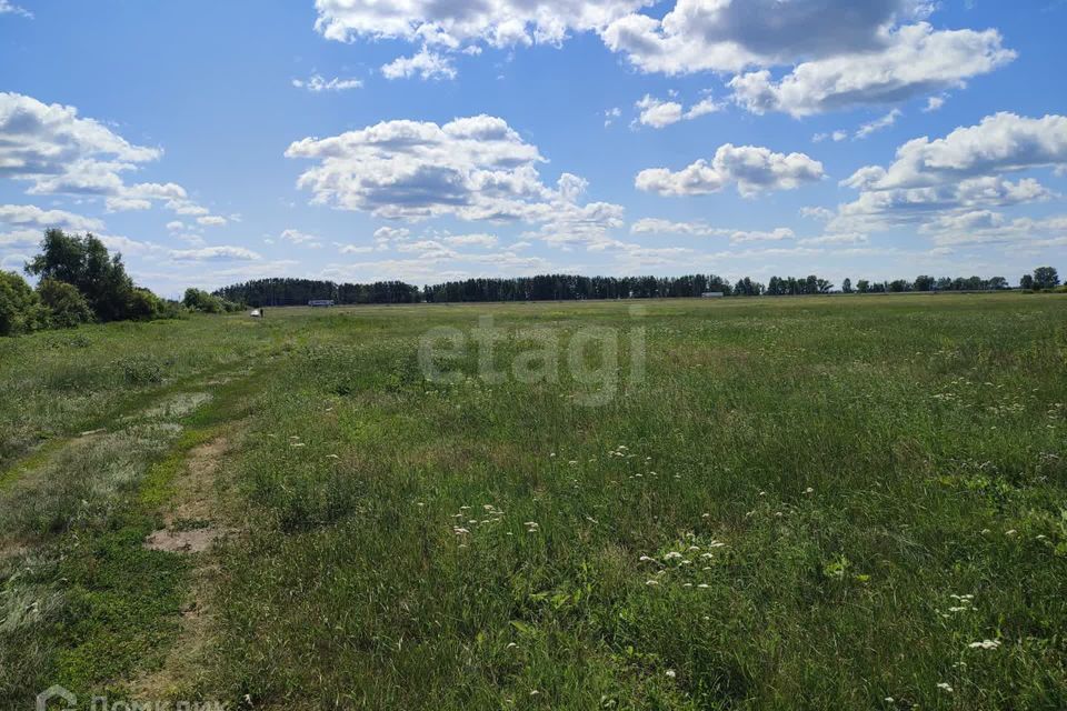 земля р-н Тюменский село Щербак фото 4