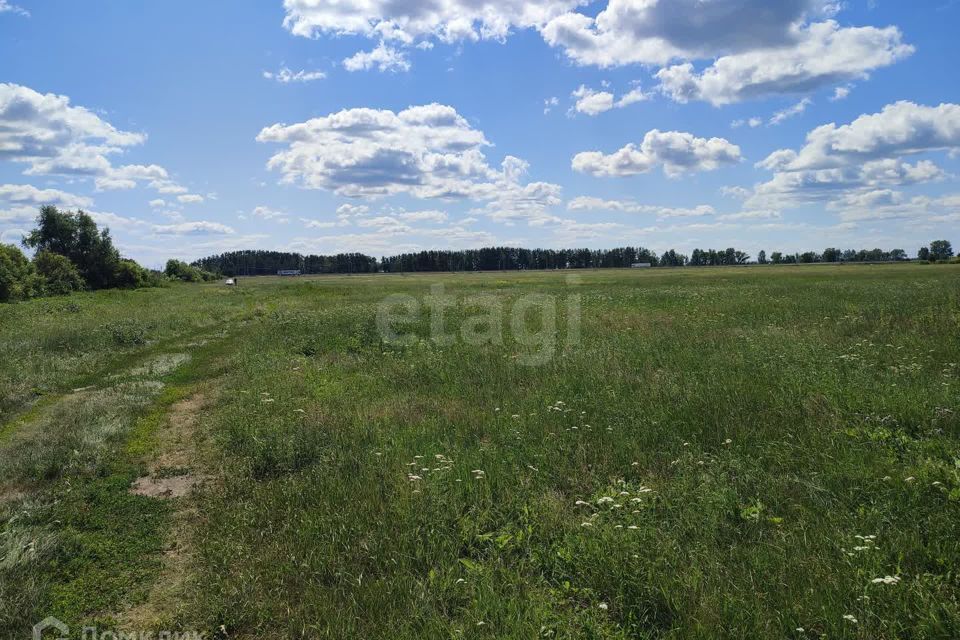 земля р-н Тюменский село Щербак фото 4