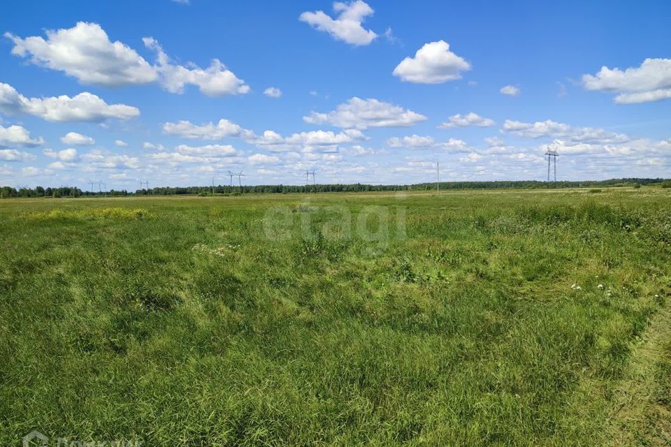 земля р-н Тюменский село Щербак фото 8