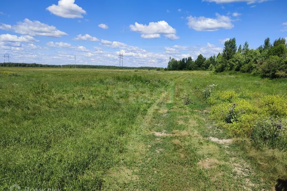 земля р-н Тюменский село Щербак фото 10