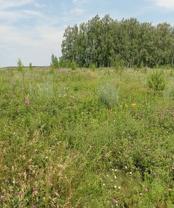 земля р-н Аргаяшский д Акбашева ул Матросова фото 10