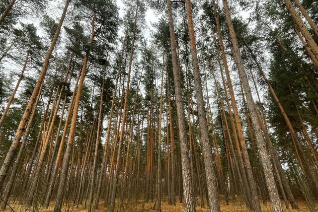 земля р-н Ленинский городской округ Тамбов фото