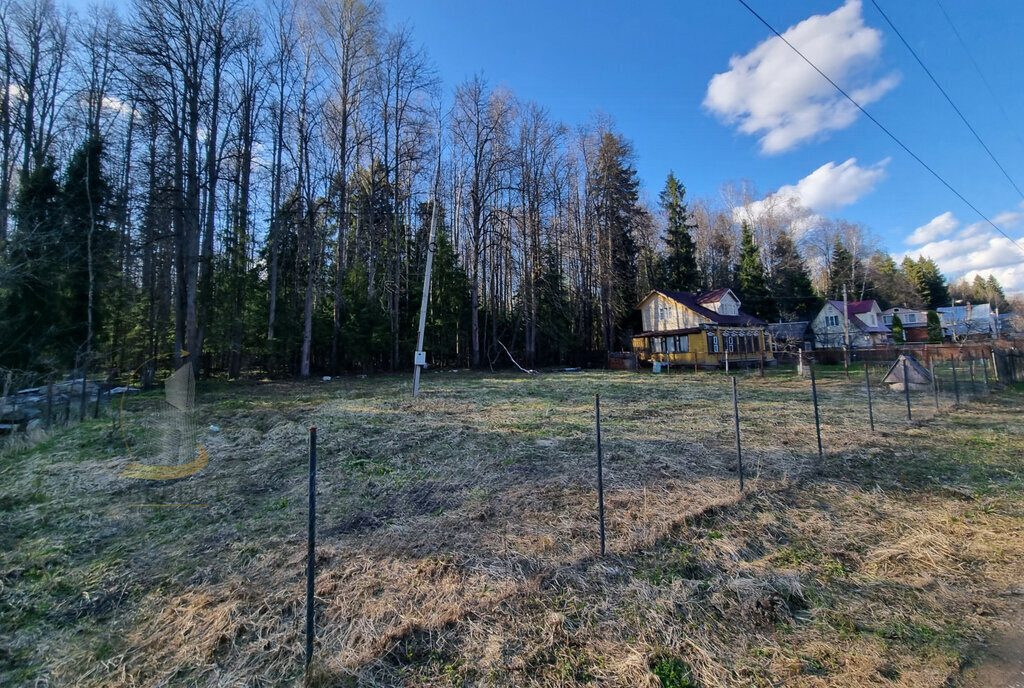 земля городской округ Пушкинский садовое товарищество Лесная Поляна фото 1