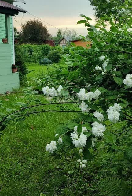 дом городской округ Дмитровский СНТ Заречный фото 2