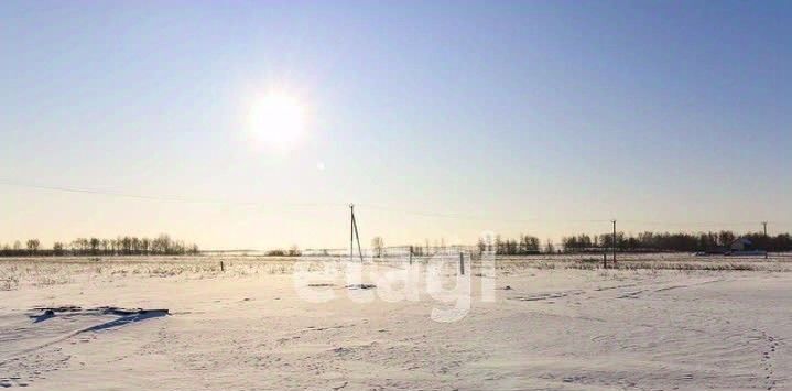 земля р-н Тюменский д Большие Акияры ул Рощинская фото 8