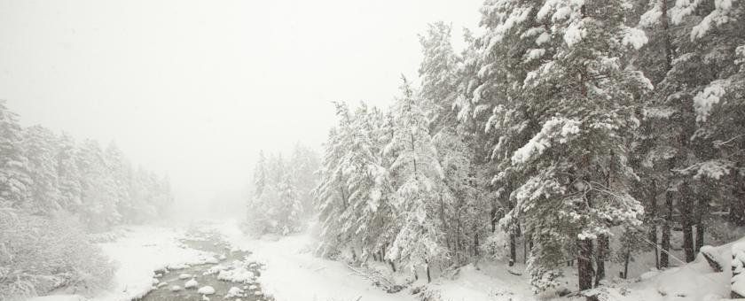 комната р-н Эльбрусский с Терскол фото 10