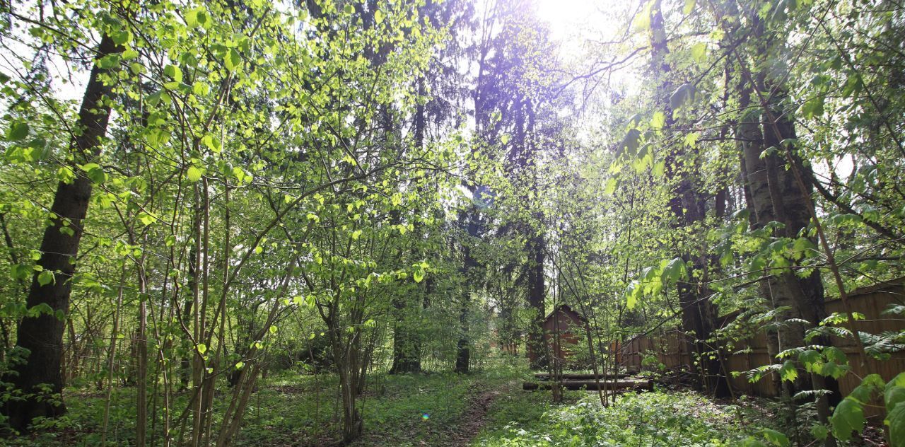 дом городской округ Истра д Манихино снт Снегири Нахабино, пер. Тихий фото 4