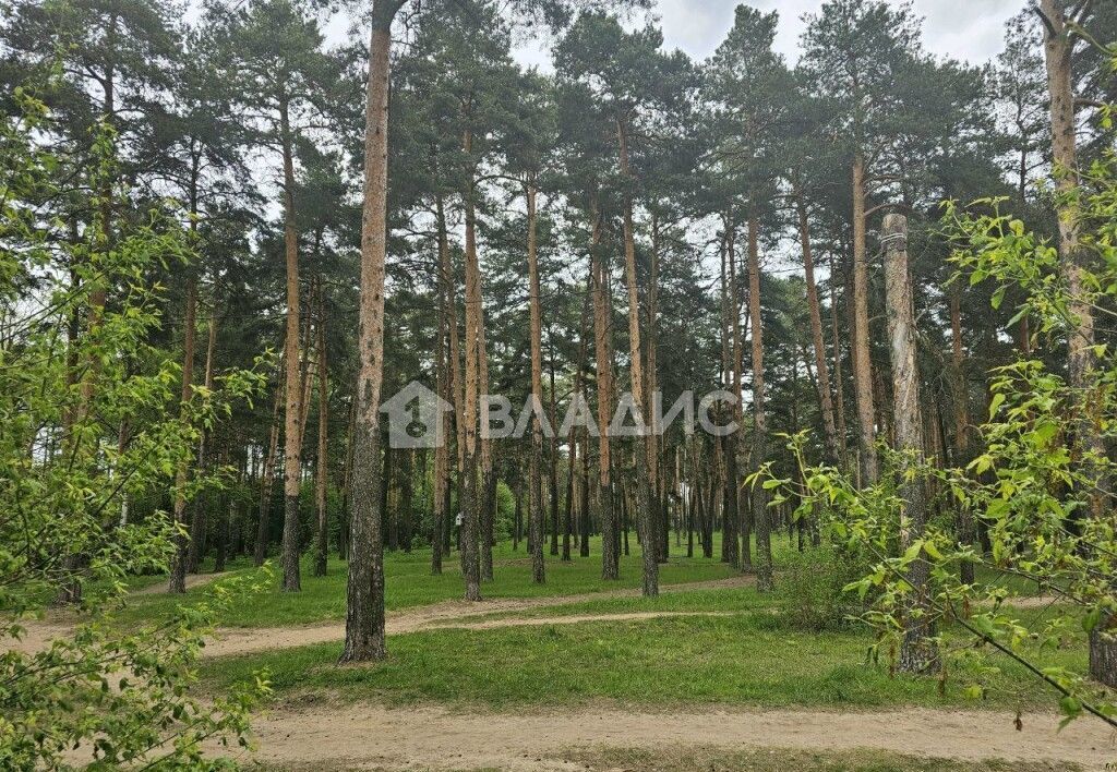 квартира городской округ Дмитровский мкр-н имени В. Н. Махалина, 40, Дмитров фото 12