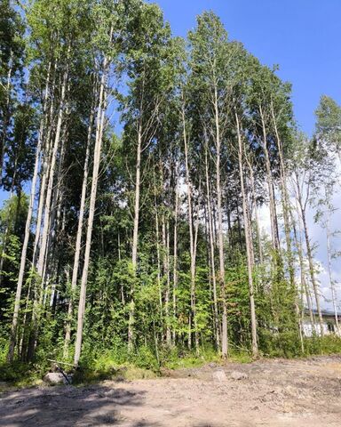 Выборгское шоссе, 9745 км, Первомайское сельское поселение, коттеджный пос. Репиноф, Санкт-Петербург фото