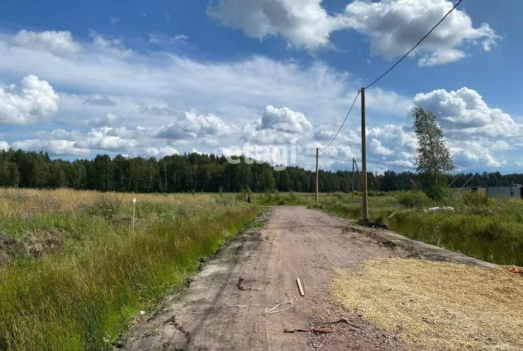 земля р-н Приозерский д Четверяково Красноозёрное сельское поселение фото 7